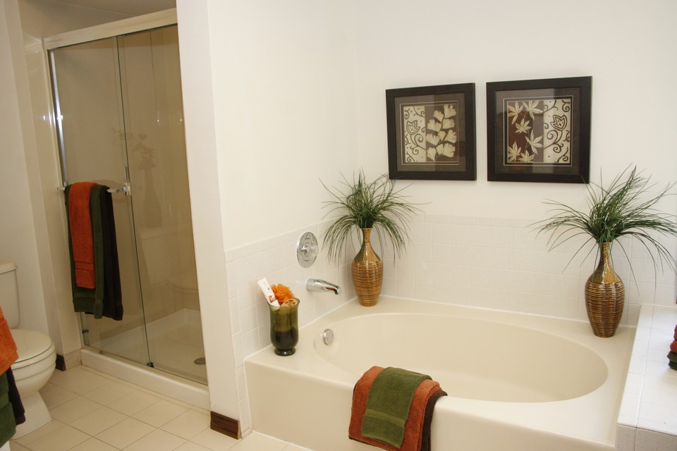 master bathroom suite